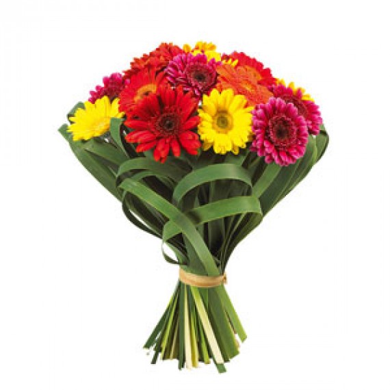 Buchet 11 Gerbere