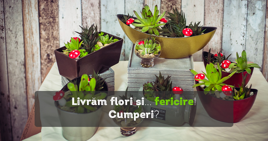 Livram fericire!